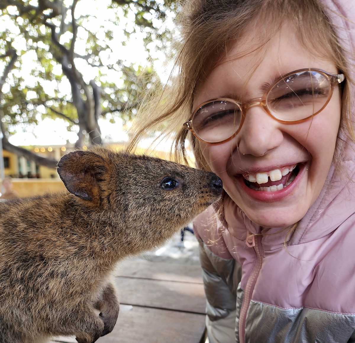 WA charity quokka wish