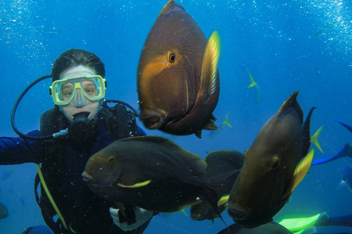 Make-A-Wish Australia wish kid Sam diving with fish at Hamilton Island