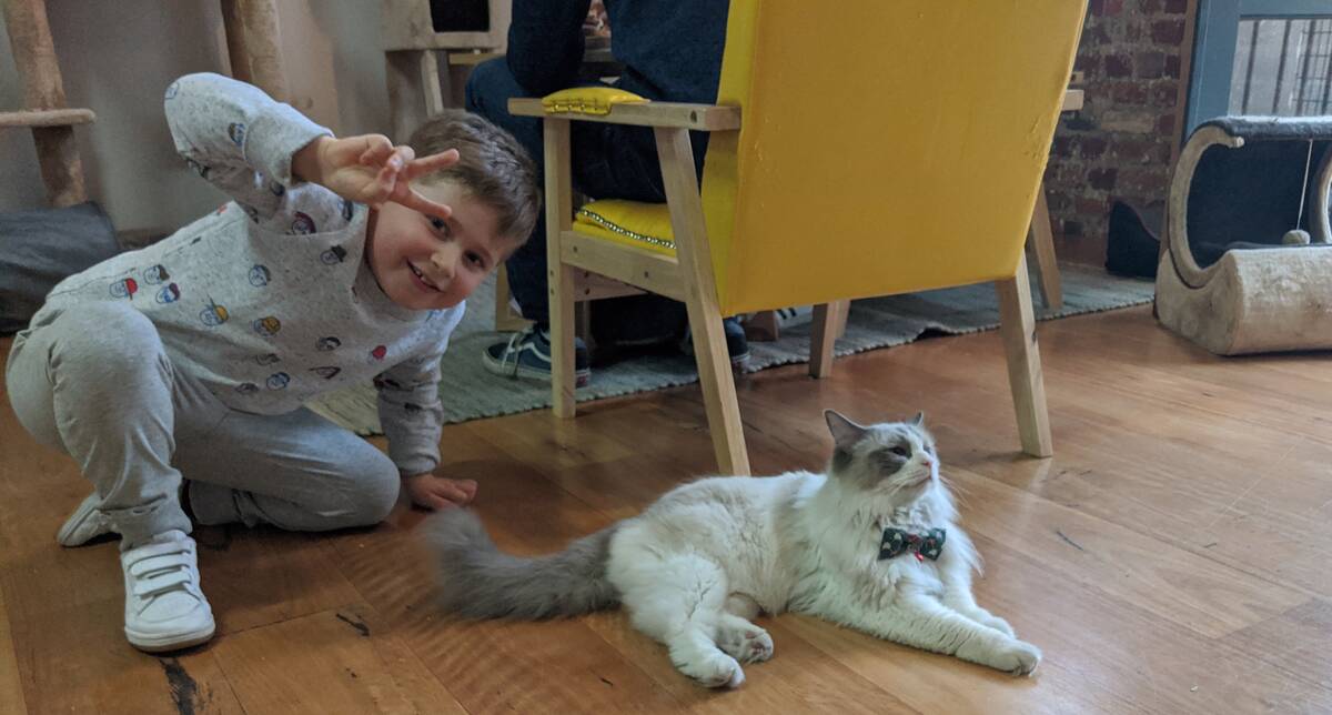 Make-A-Wish Australia wish kid Zach with a cat