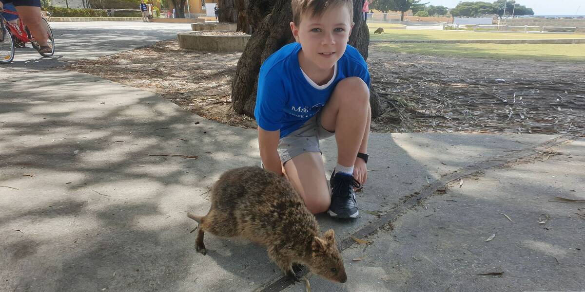Make-A-Wish kid Henry crouches down to interact with a Quokka on his wish day in Perth